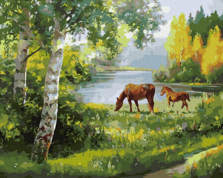 Картина по номерам Rainbow Art Лошади на лугу (GX34062-RA)