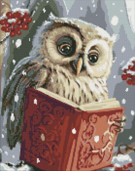 Алмазна мозаїка Ідейка Розумна совушка з голограмними стразами AB 40x50 см (Id-AMO7816)