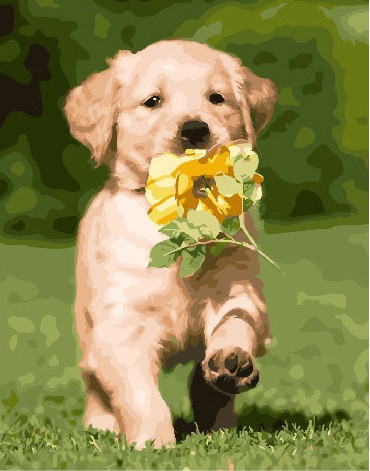 Картина по номерам Brushme Щенок лабрадора (GX25580) Картина по номерам Brushme Щенок лабрадора (GX25580)