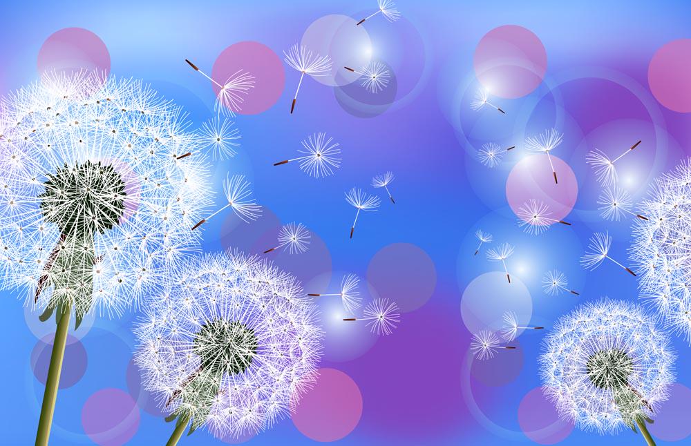 Фотообои Artside Цветные одуваны (8030920191d) Фотообои Artside Цветные одуваны (8030920191d)