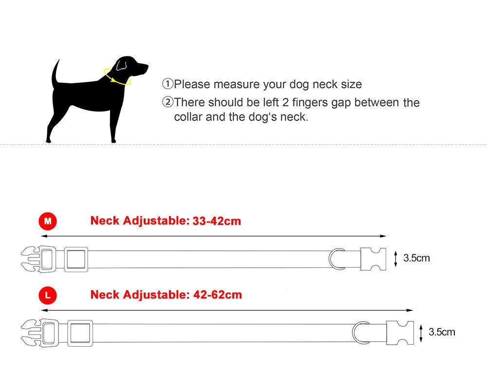 Ошейник для собак Berry cветоотражающий для средних и крупных пород L 42-62 см Серый (1783612011) - фото 8 Ошейник для собак Berry cветоотражающий для средних и крупных пород L 42-62 см Серый (1783612011) - фото 8