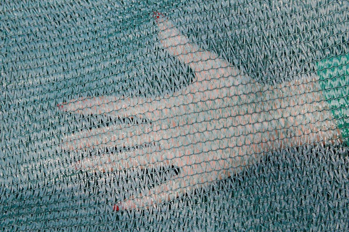 Сетка затеняющая ступень затенения 60% 4х50 м - фото 6