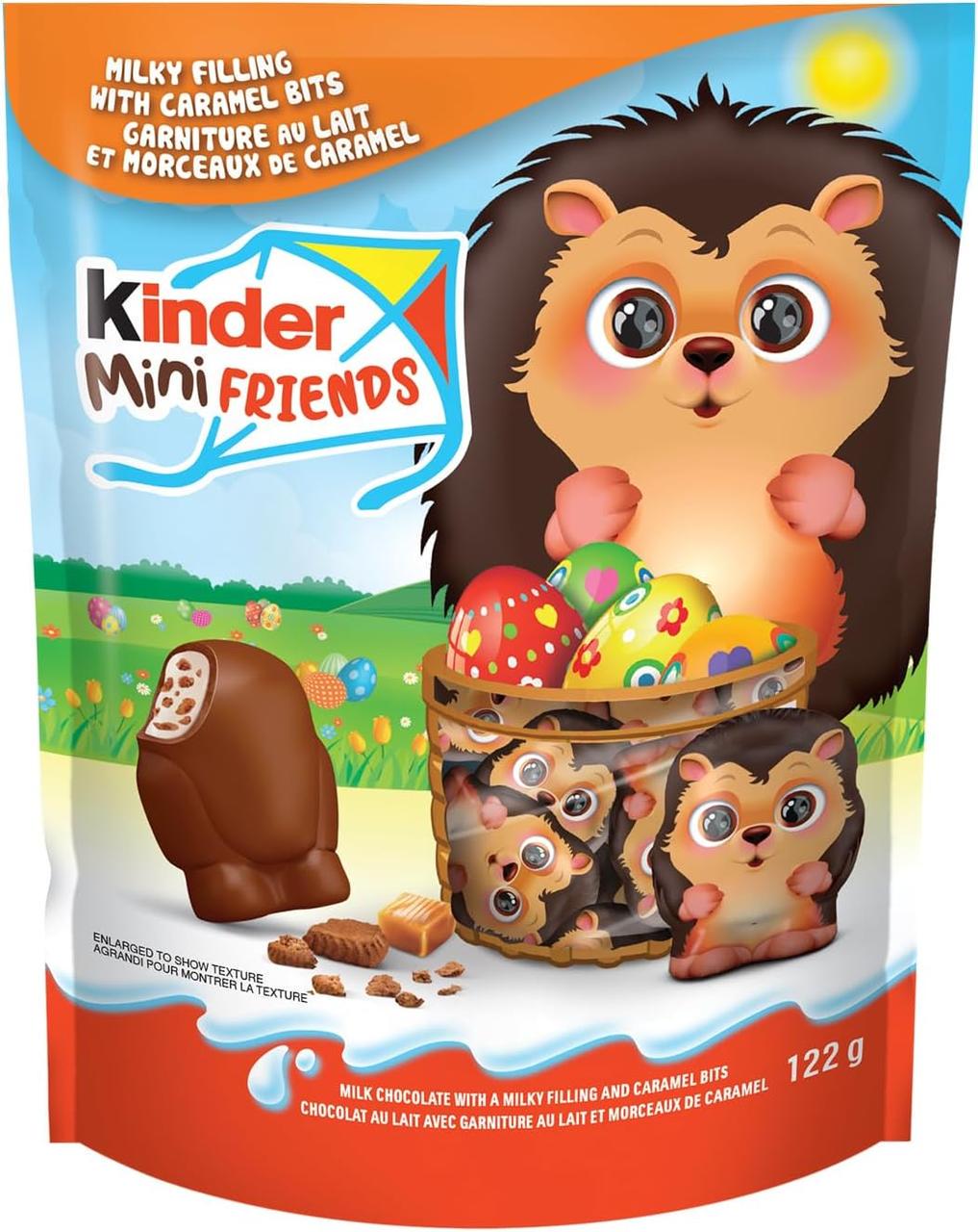 Шоколадні цукерки Kinder Mini Friends Hedgehog Milk Chocolate 18 шт. 122 г (2532997201)