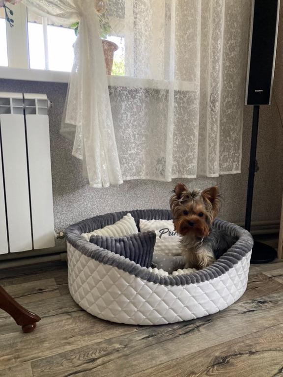 Лежанка для собак Amore mio Cane Брістоль до 16 кг 60х55х19 см (ОВ-0044) - фото 4 Лежанка для собак Amore mio Cane Брістоль до 16 кг 60х55х19 см (ОВ-0044) - фото 4