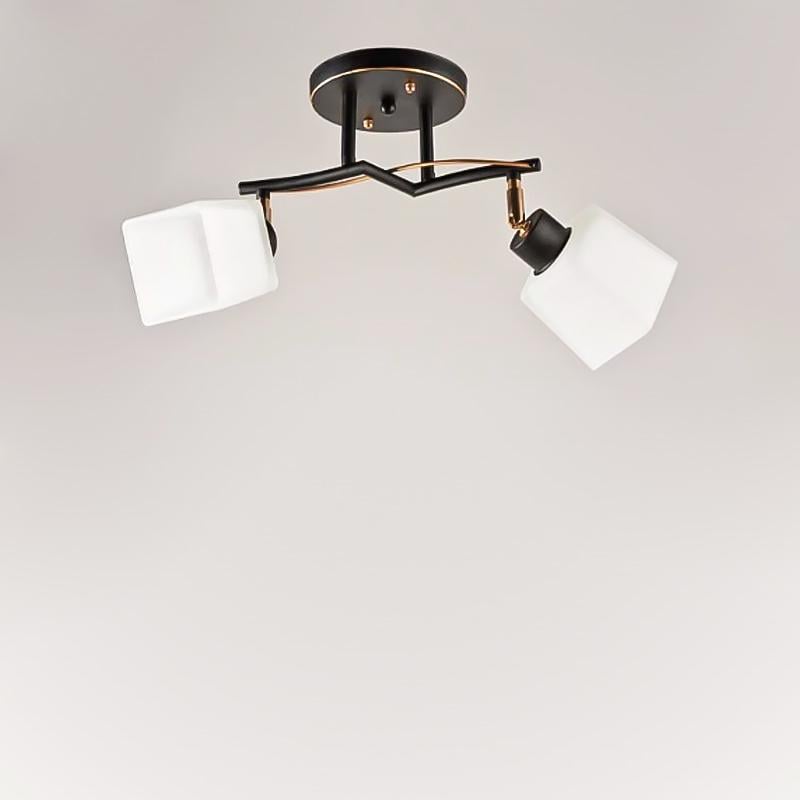 Люстра потолочная Light House SRS-16246/2 с поворотным плафоном на две лампы Черный/Золото