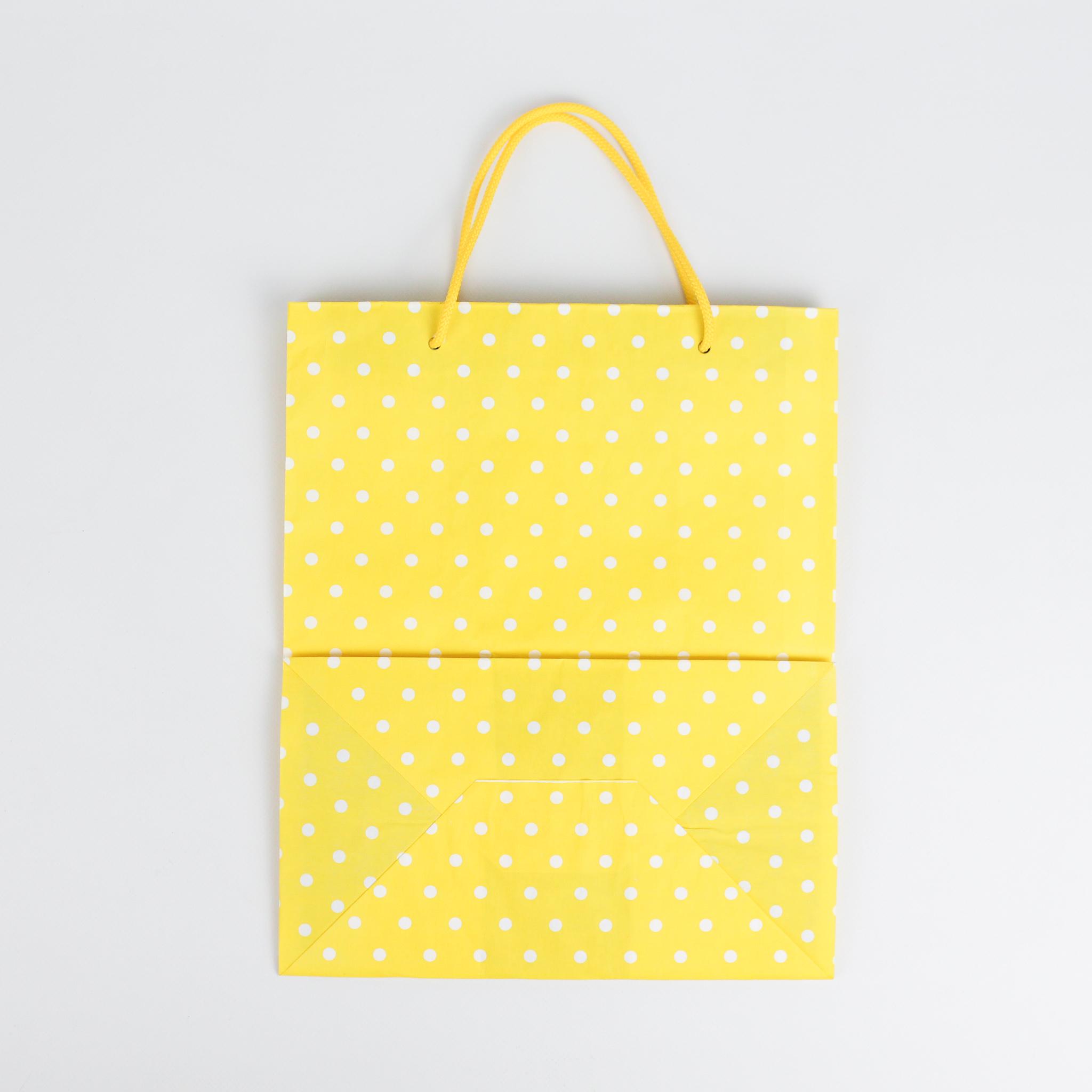 Пакет с принтом горошек Люкс с ручками веревками 20 шт. 260х150х320 мм - фото 2 Пакет с принтом горошек Люкс с ручками веревками 20 шт. 260х150х320 мм - фото 2