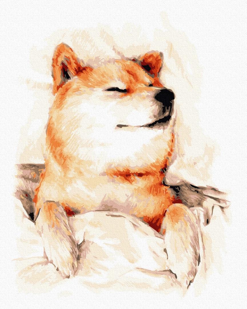 Картина по номерам Brushme G538 Сонный Акита-ину 40х50 см (1564685647)