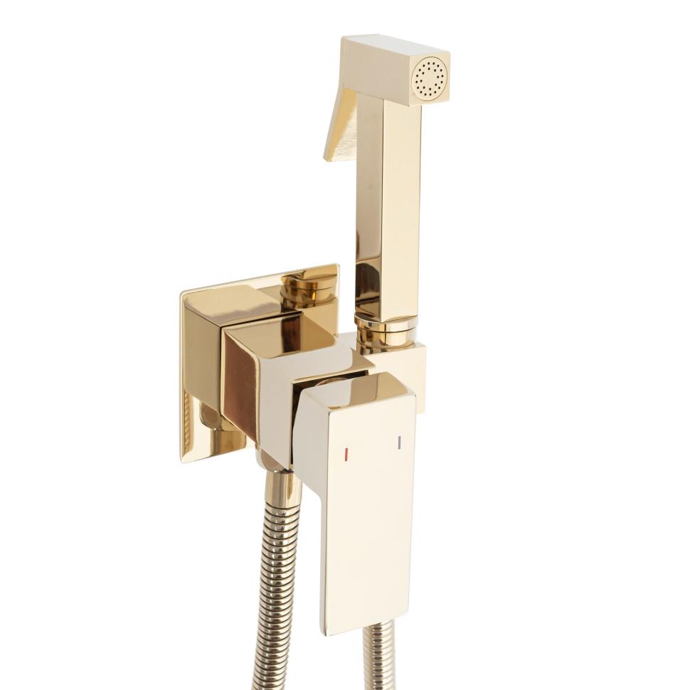 Набор гигиенический со смесителем Rea Fenix Gold (REA-B5771)