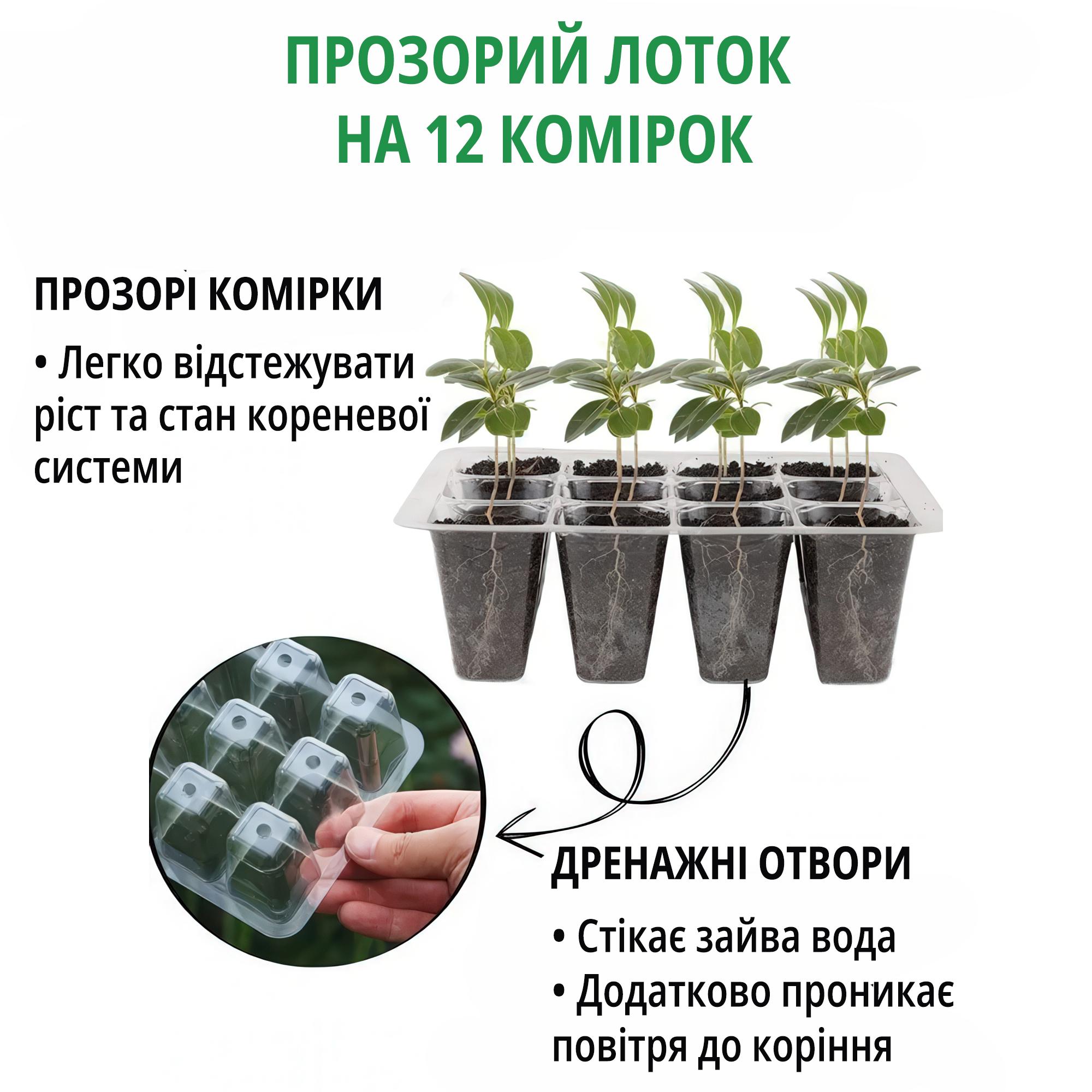 Міні-теплиця для розсади з регульованою вентиляцією 12 осередків Зелений - фото 5 Міні-теплиця для розсади з регульованою вентиляцією 12 осередків Зелений - фото 5