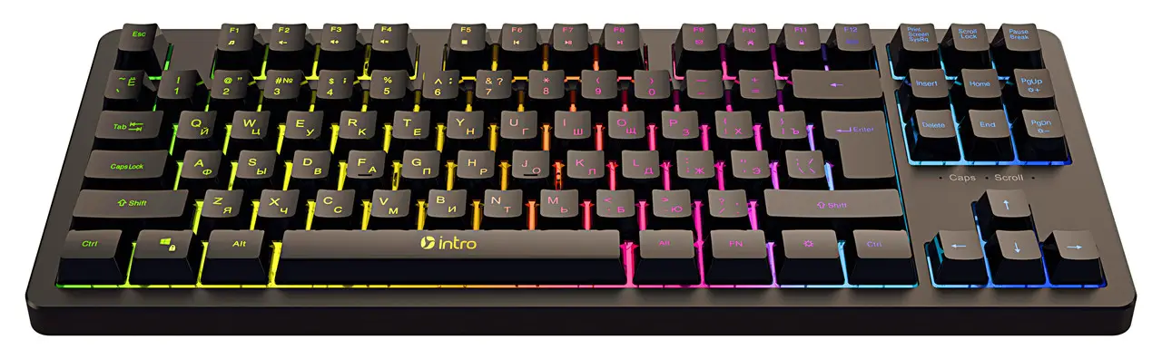 Клавиатура USB KEYBOARD DX750 Eng/Ru RGB (22018847) - фото 5