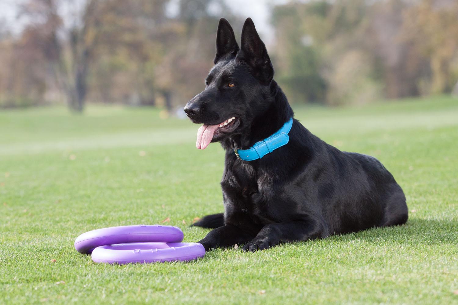 Тренувальний снаряд для собак Puller Standard 28 см (6490) - фото 18