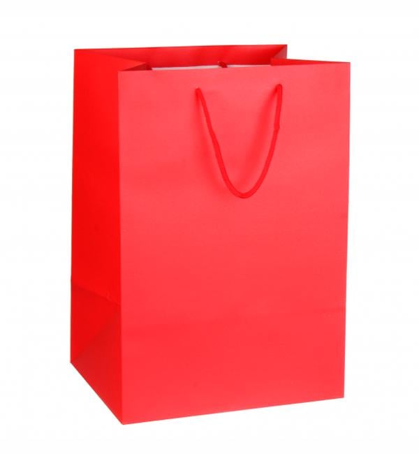 Подарочный пакет 26x21x38 см ламинированный картон Red
