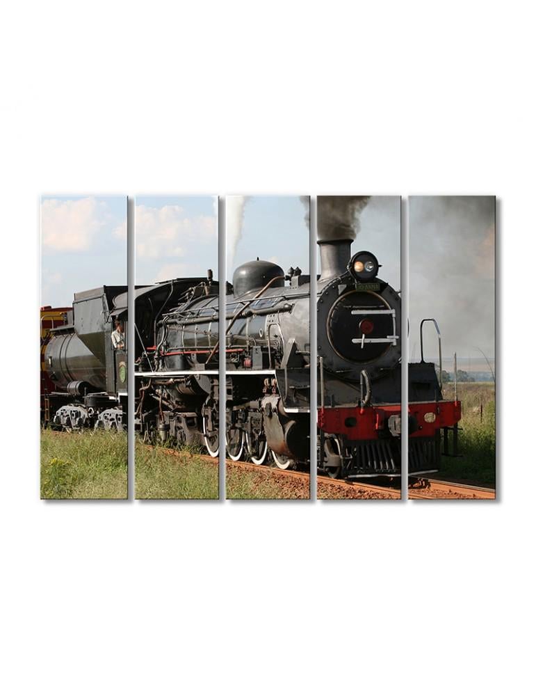 Картина модульная Паровоз в степи 5 модулей 70x105 см
