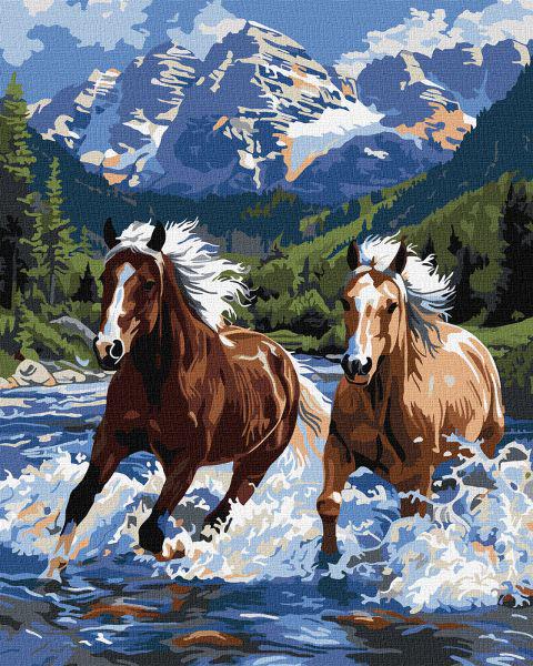 Картина за номерами Ideyka Сила руху 40x50 см (Id-KHO6830)