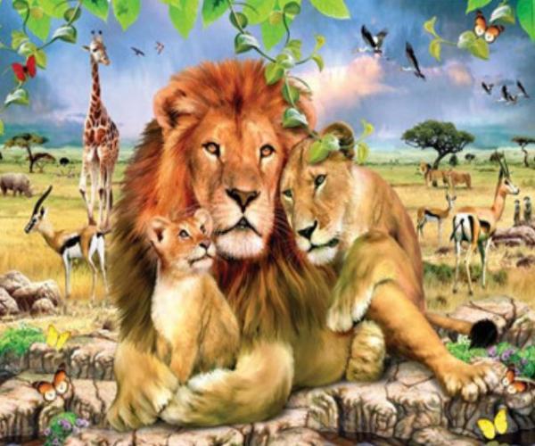 Картина по номерам Josef Otten Животные Семья львов 40х50 см в термопакете (5670Y_O-mt)