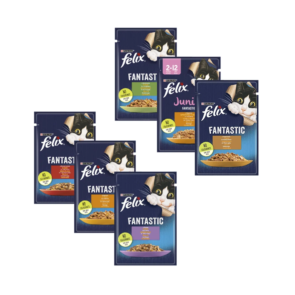 Корм для котів вологий FELIX Fantastic Мікс смаків 85 г 6 шт. (2977669500)