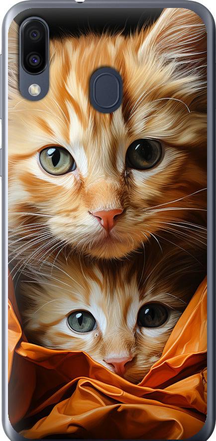 Чехол на Samsung Galaxy M20 Котики 2 (5664u-1660-42517)