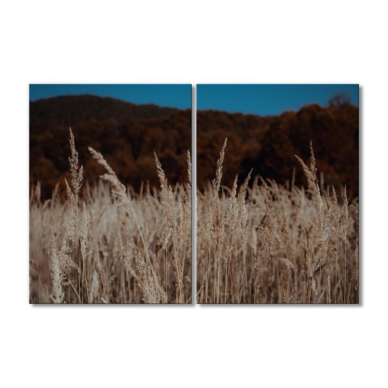 Картина модульная Вечерние бежевые травы 2 модуля 120x180 см