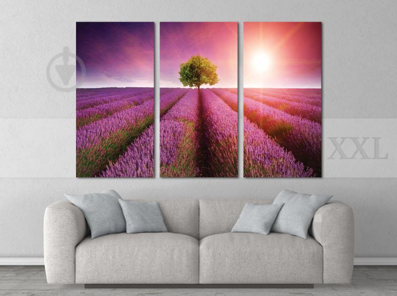 Модульна картина Poster-land Природа Дерево Art-48_XXL