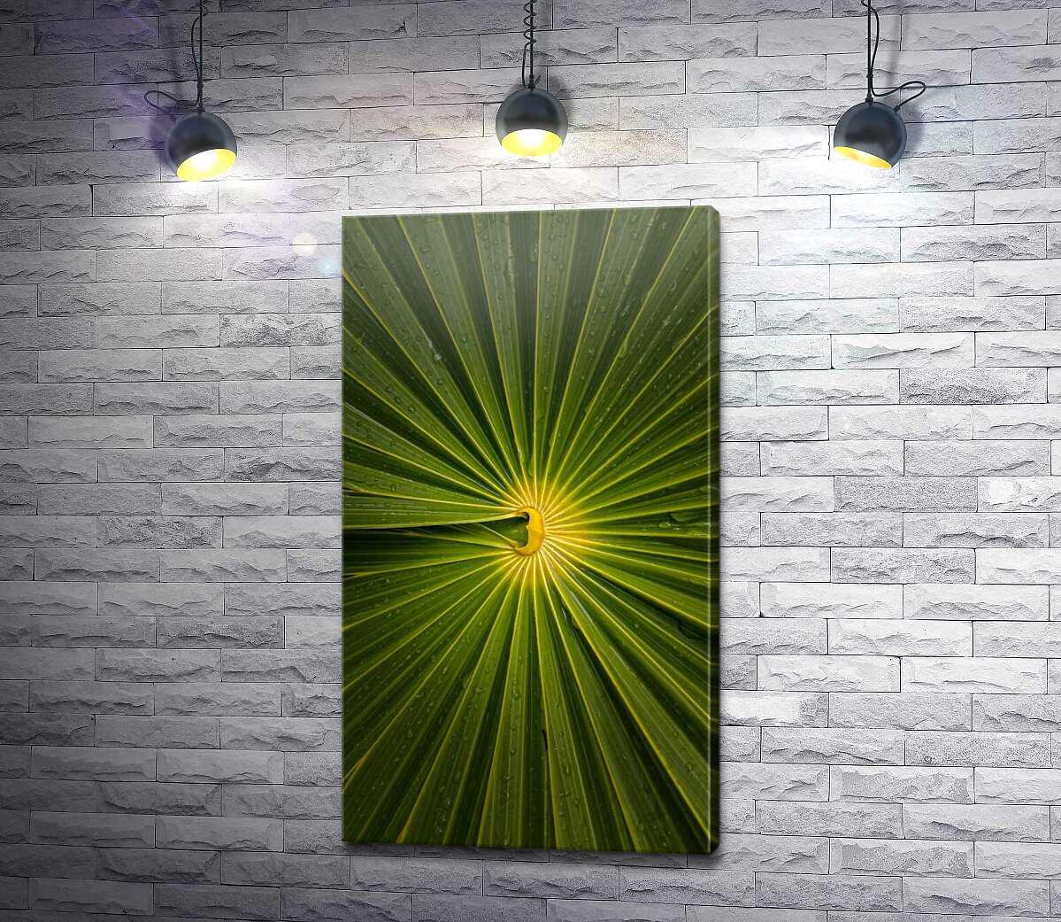 Картина ArtPoster Узор пальмового листа сблизи 73x130 см Модуль №1 (003820) Картина ArtPoster Узор пальмового листа сблизи 73x130 см Модуль №1 (003820)