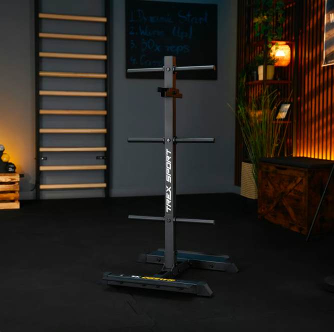 ᐉ Стойка с полками TREX Sport TX-065WR для дисков и грифов (5090