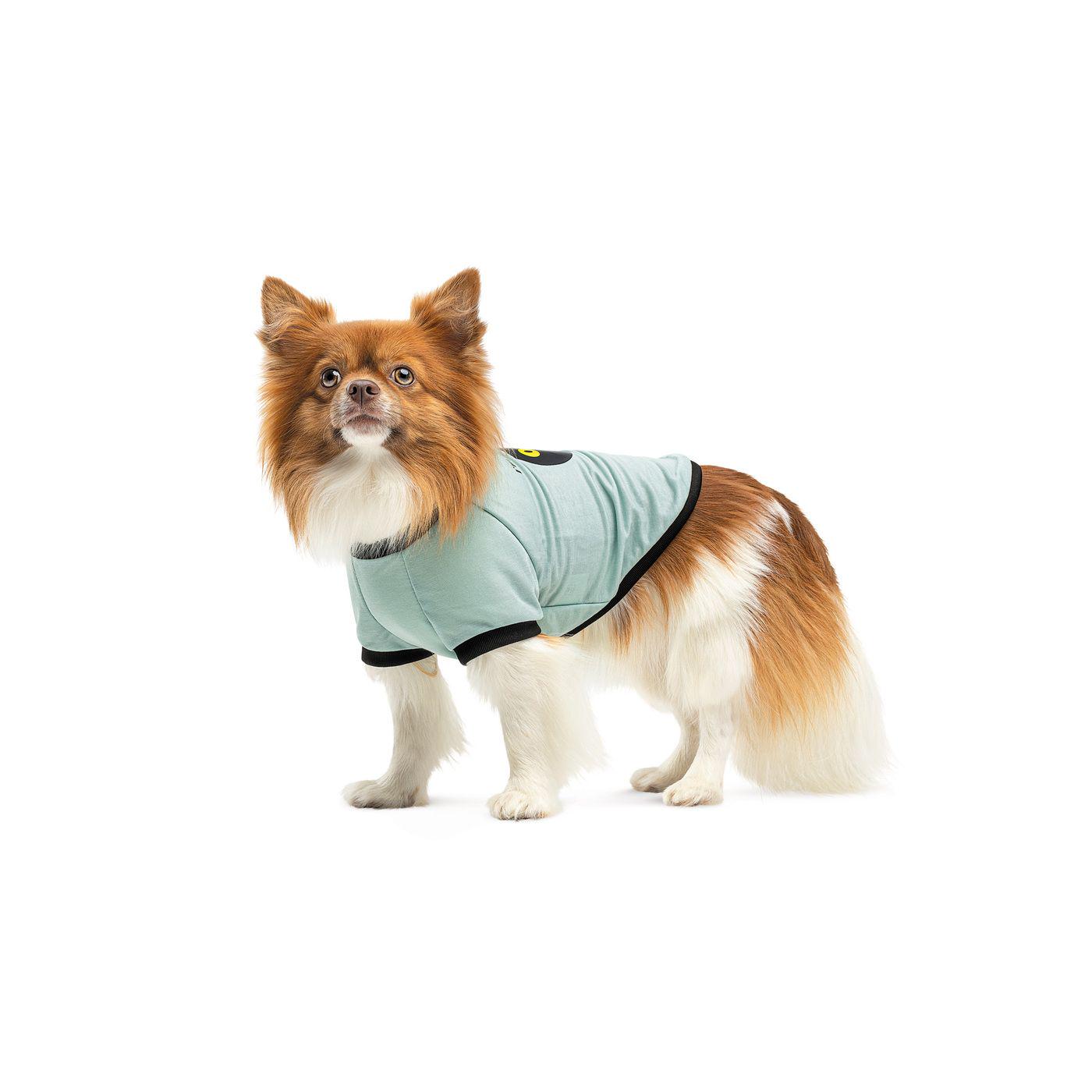 Футболка для собак малих порід Pet Fashion Oscar XS2 Блакитний (PR441372) - фото 2 Футболка для собак малих порід Pet Fashion Oscar XS2 Блакитний (PR441372) - фото 2