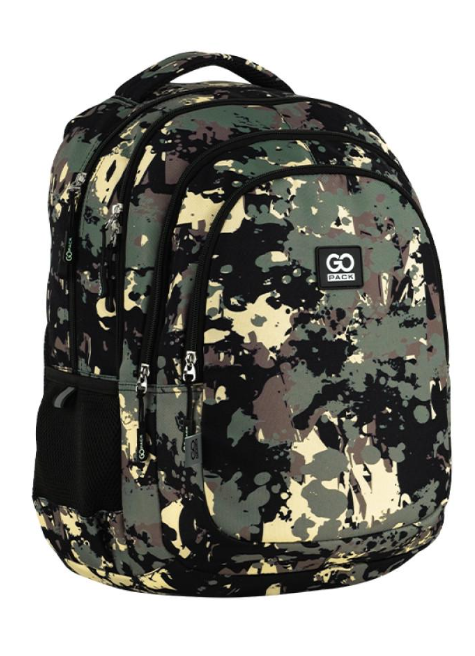 Школьный рюкзак GoPack Teens GO25-162L-6 (4063276190697)