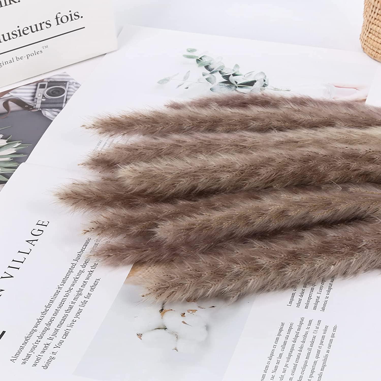 Трава пампасная для декора 15 шт. (BE-15-P) - фото 2