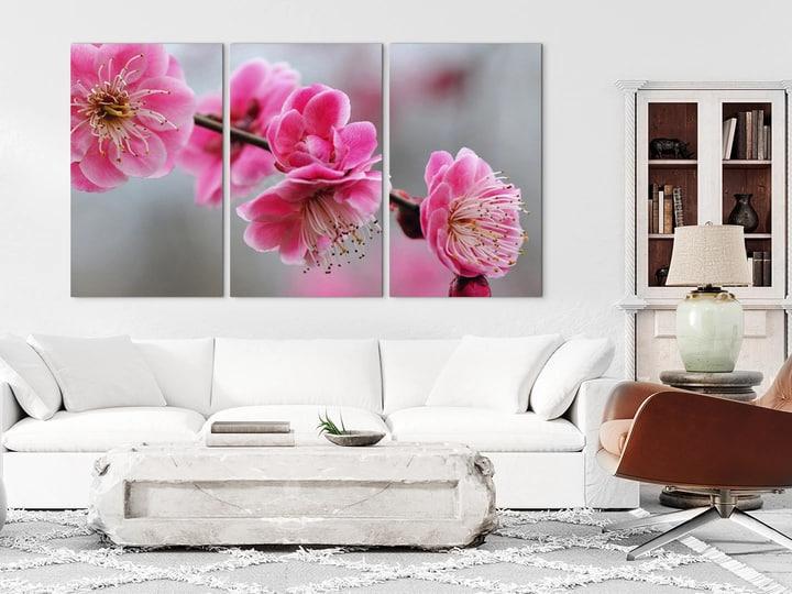 Картина модульная на холсте DK Сакура 100x180 см (MK30022 X)