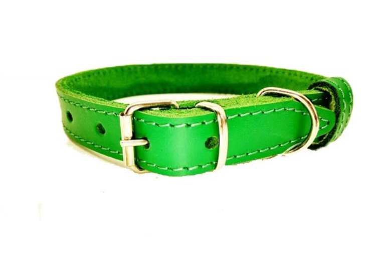 Нашийник для собак шкіряний ВЕСНА 25 мм х 36-46 см Зелений (2296440344)
