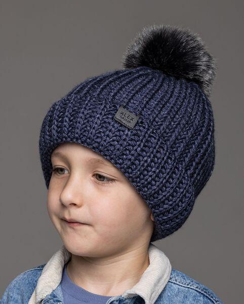 Шапка детская для мальчиков Тим D965 флис 48-52 см меланж Синий - фото 1 Шапка детская для мальчиков Тим D965 флис 48-52 см меланж Синий - фото 1
