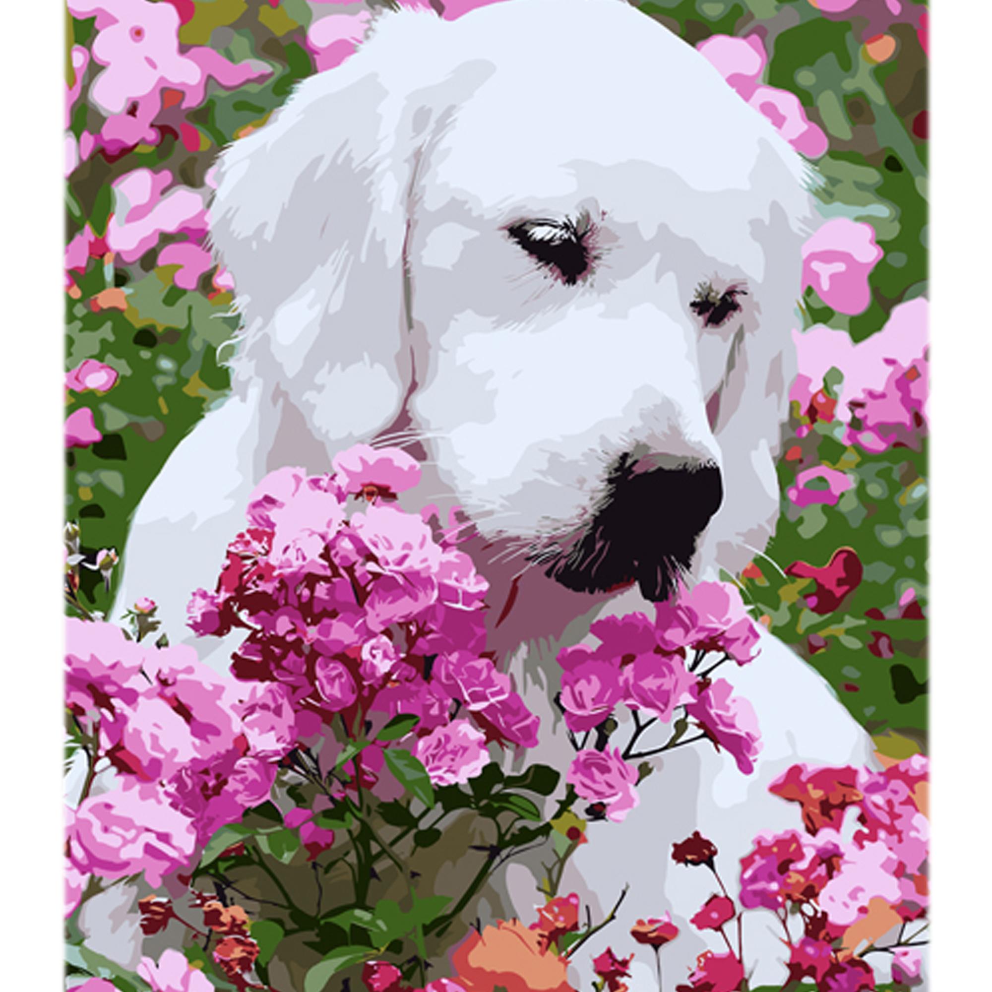 Картина по номерам Strateg Озорник на цветном фоне 40x50 см (MZ076)