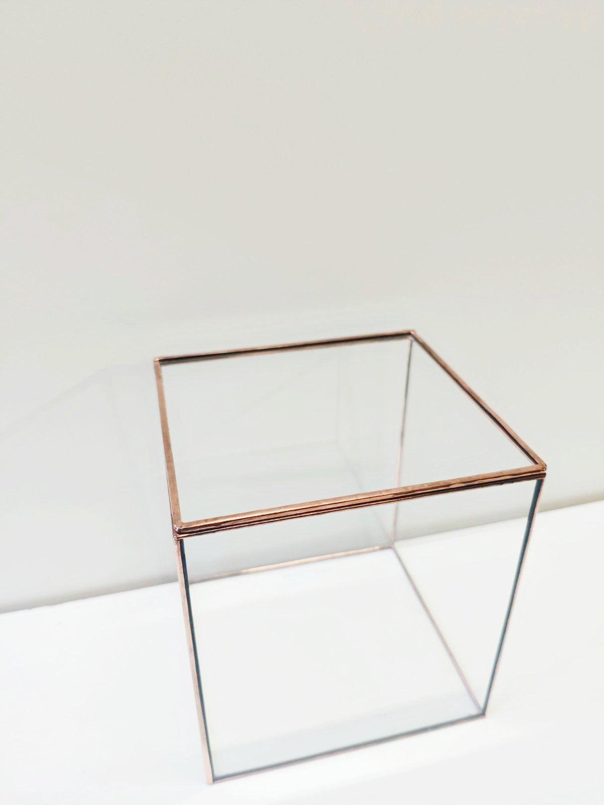 Флорариум Куб со стеклянной крышкой без наполнения 100x100x100 мм (DA004970)