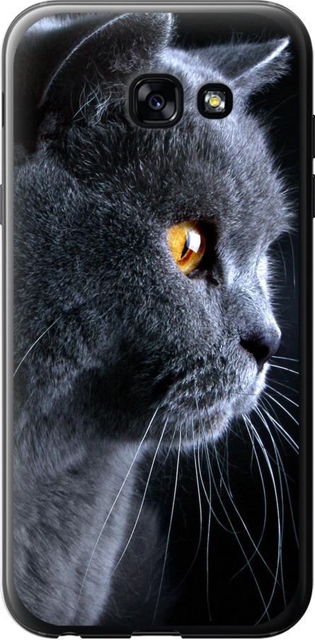 Чехол на Samsung Galaxy A5 (2017) Красивый кот (3038u-444-42517)