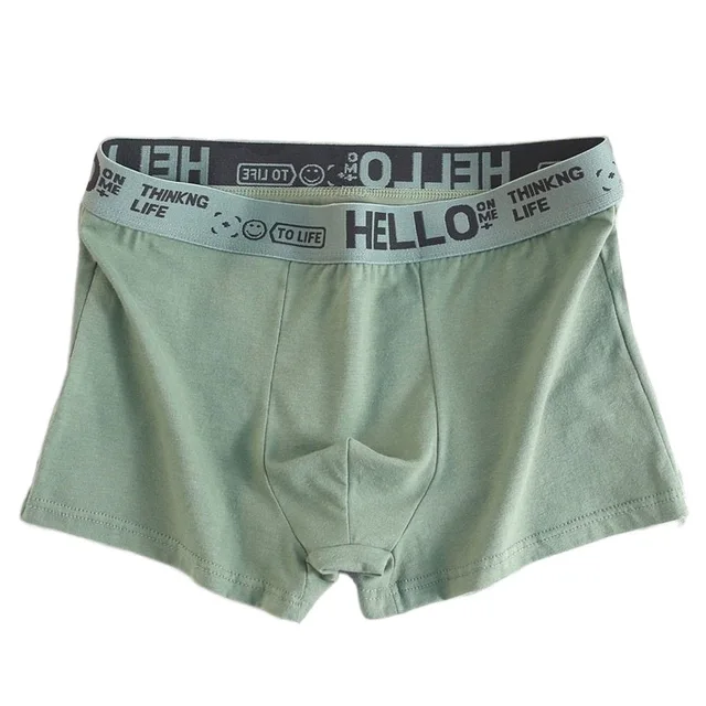 Трусы-боксеры мужские HELLO L Зеленый (28529466)