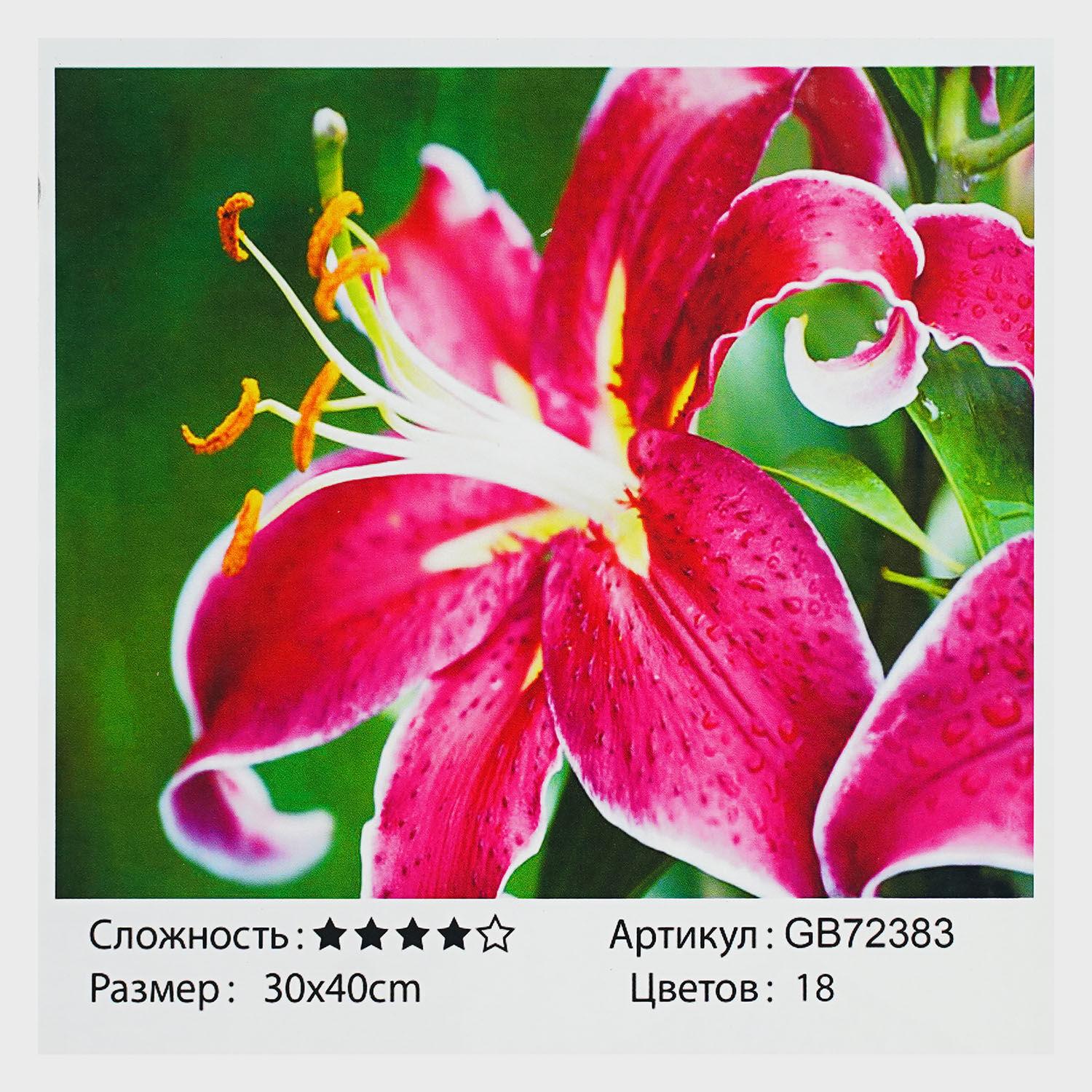 Алмазная мозаика TK Group Лилия 30х40 см (GB 72383)