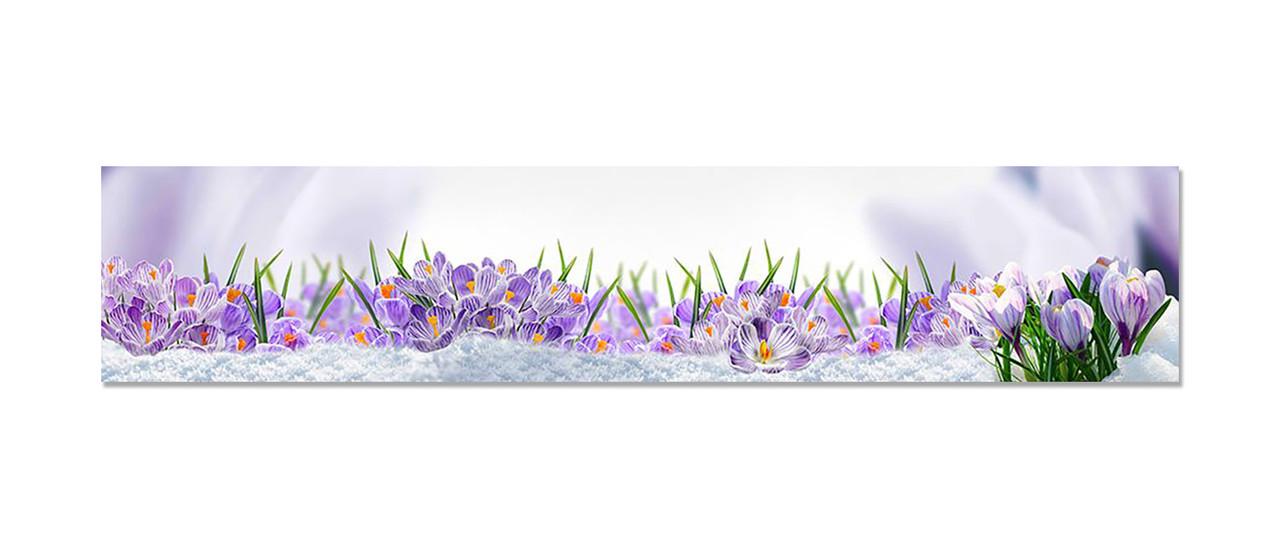 Наклейка виниловая на кухню Zatarga Крокусы в снегу 600х3000 мм (1283915619) Наклейка виниловая на кухню Zatarga Крокусы в снегу 600х3000 мм (1283915619)