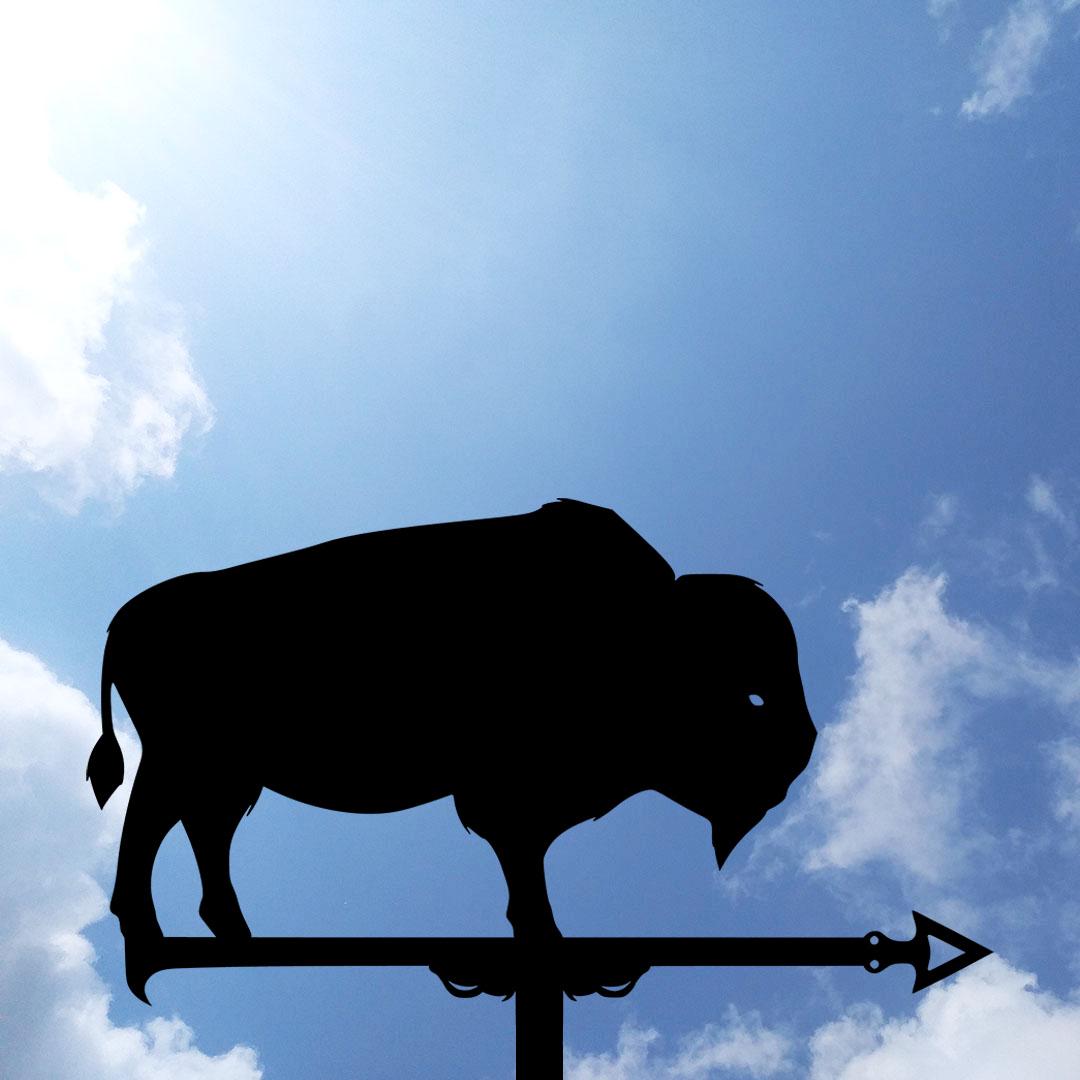 Флюгер на дом Бизон, (27685096)