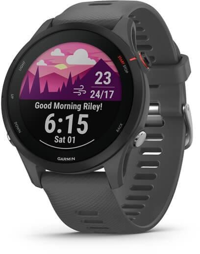 Смарт-часы Garmin Forerunner 255 Slate Gray (010-02641-10)  