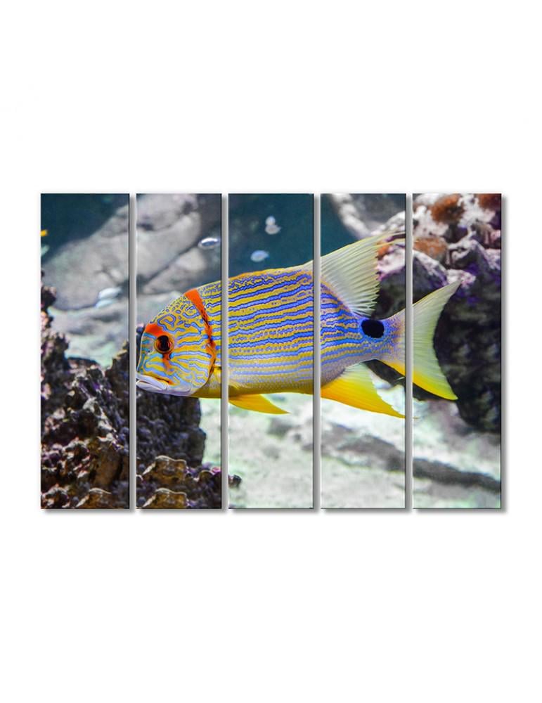 Картина модульная Рыбка с желтыми плавниками 5 модулей 90x135 см