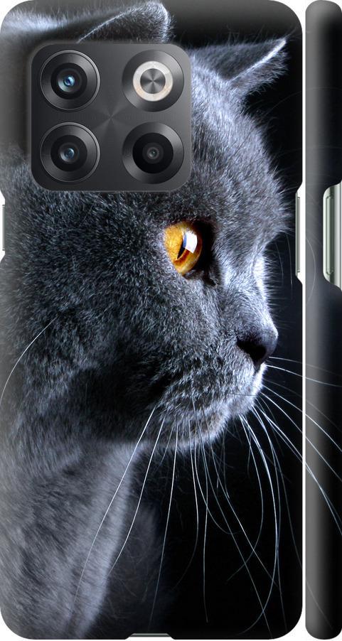 Чохол на OnePlus 10T Гарний кіт (3038m-2647-42517)