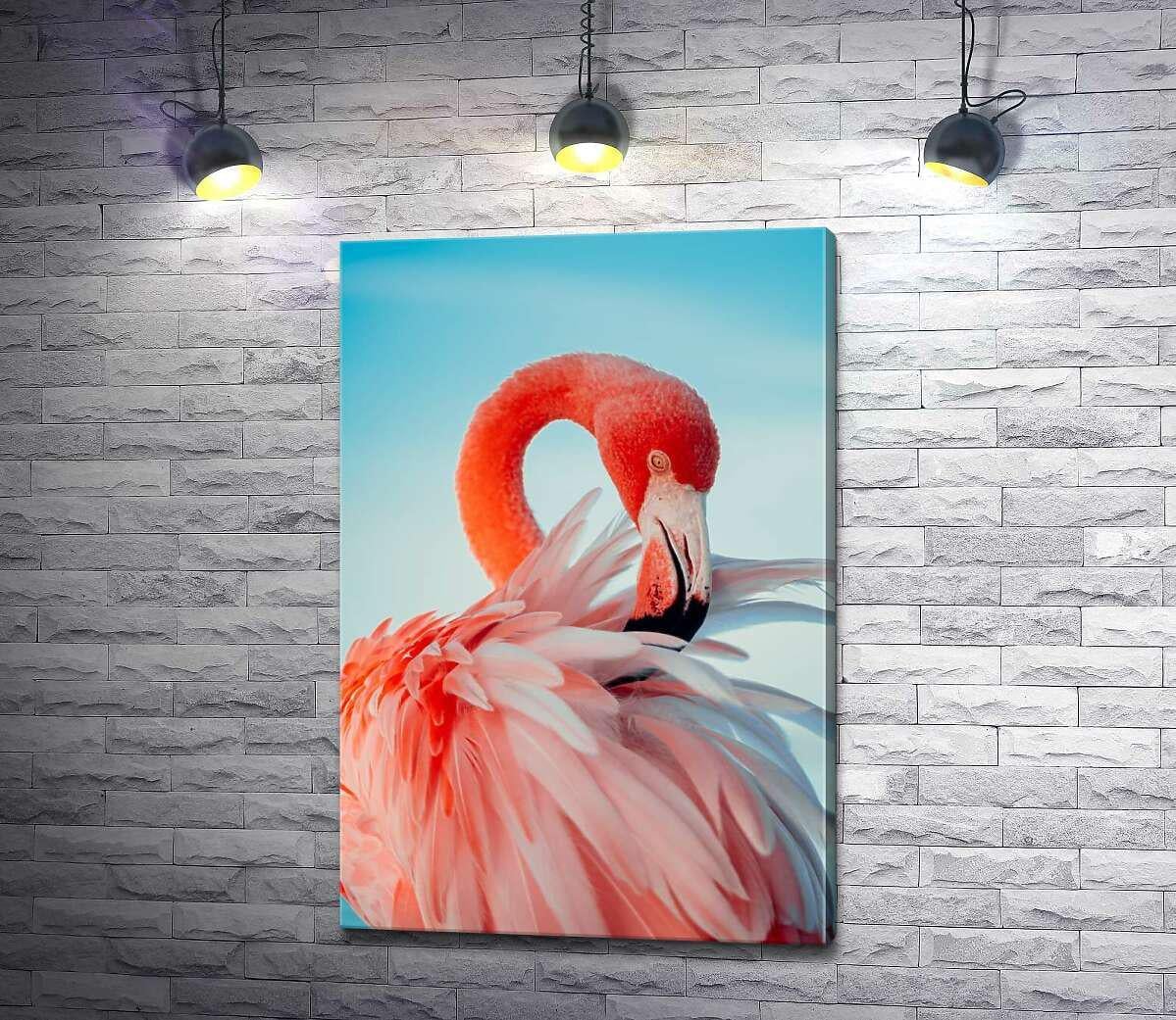 Картина ArtPoster Розкішний фламінго чистить пір'я 87x130 см Модуль №1 (003772)