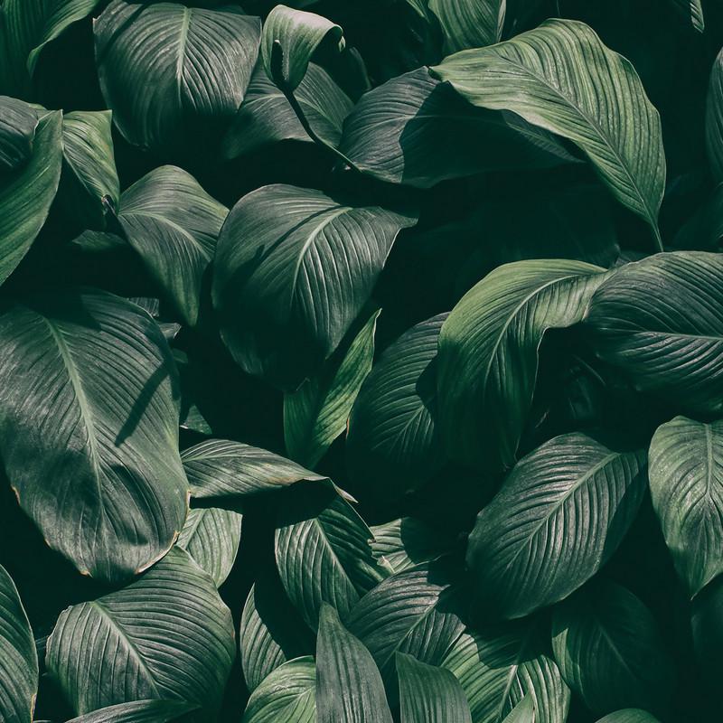 Фотофон виниловый Frontlit 60x60 см 450 г/м2 №551591 (551591-60) Фотофон виниловый Frontlit 60x60 см 450 г/м2 №551591 (551591-60)