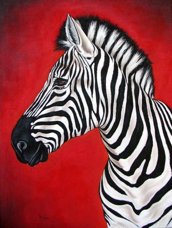 Алмазная мозаика на подрамнике Зебра 40x50 см (DM.124-pdr)