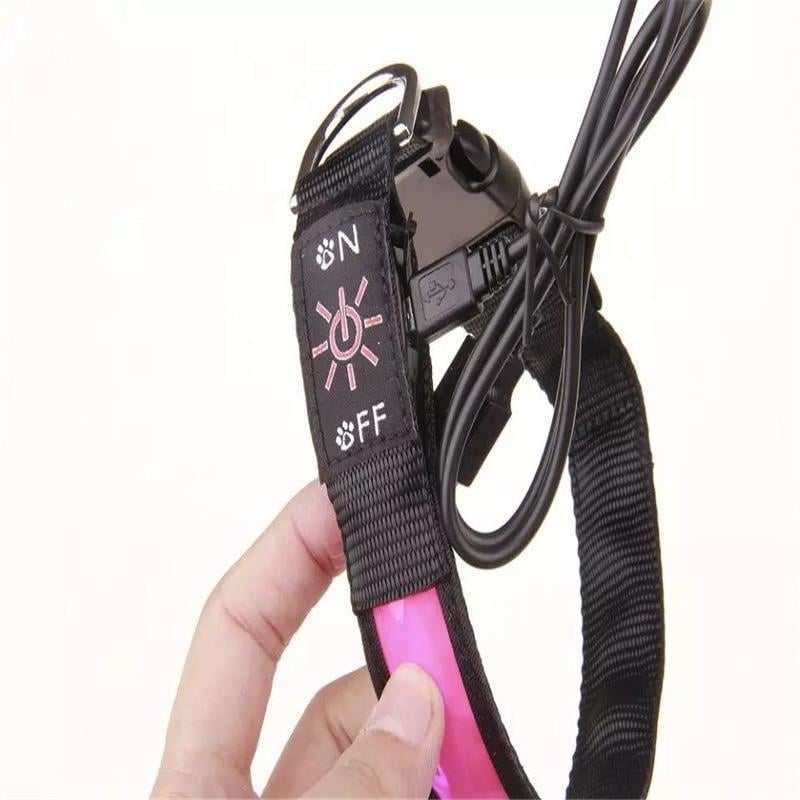 Ошейник светящийся LED с аккумулятором для собак для вечерних прогулок с USB зарядкой (000542) - фото 3 Ошейник светящийся LED с аккумулятором для собак для вечерних прогулок с USB зарядкой (000542) - фото 3