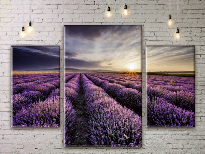 Картина модульная 3 части ArtStar Цвет лаванди 120х180 см ADNA0052