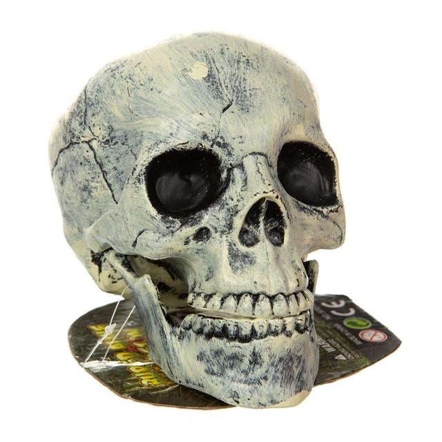 Череп Halloween 20 см (21064941)