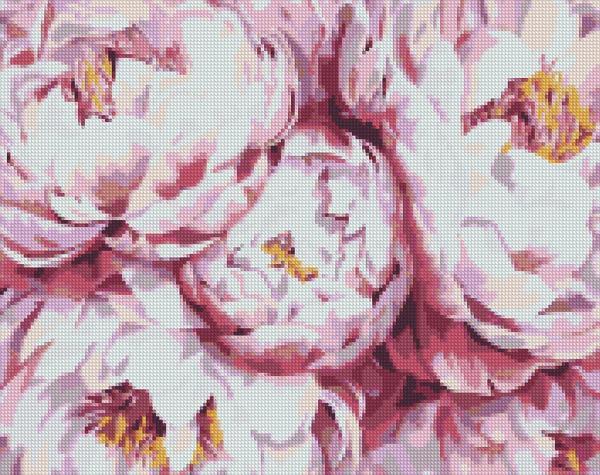 Алмазная мозаика Идейка Королевские пионы 40х50 см (AMO7077-mt)