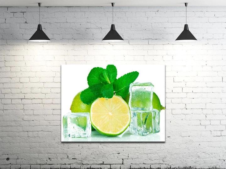 Картина на холсте DK Лед с лаймом (DKP4560-d1136)