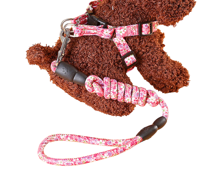 Поводок с шлейкой Цветочный принт 1 для маленьких животных нейлоновый 0,8х120 см (2038262103) Поводок с шлейкой Цветочный принт 1 для маленьких животных нейлоновый 0,8х120 см (2038262103)